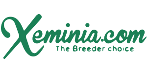 Xeminia
