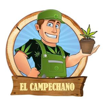 el campechano
